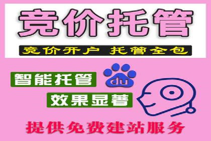 SEM运营推广策略：成功案例解析